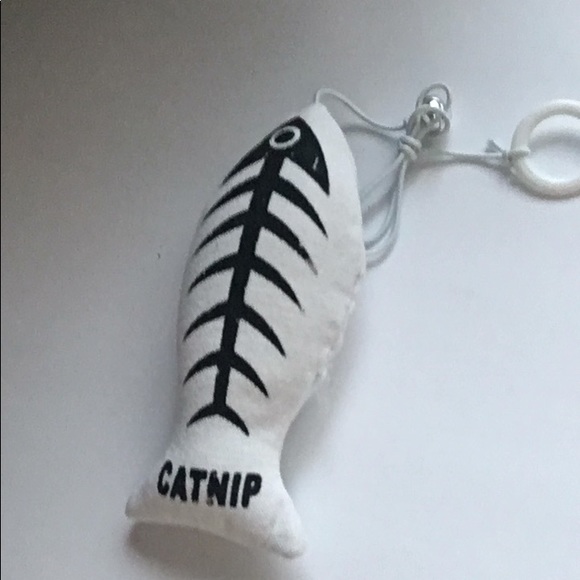 New Cat Kitten Pet Starter Boxed Gift Set Toys Dish Collar - Picture 7 of 9